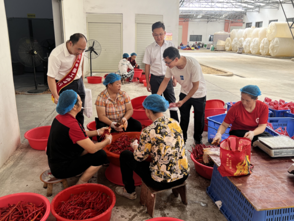 嘉正网 工行铜仁石阡支行：金融“活水”浇灌辣椒产业“红”起来