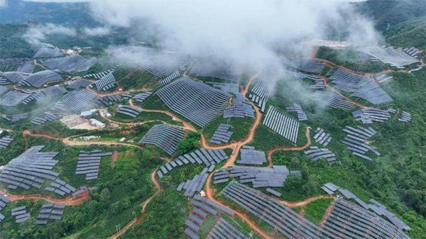 掌上世界 用金融”活水”浇灌云岭绿色生态之花