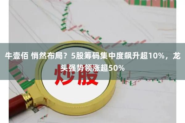 牛壹佰 悄然布局？5股筹码集中度飙升超10%，龙头强势领涨超50%