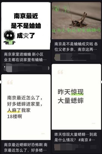 星火配资 组团爬楼还“闯家”，南京蛐蛐泛滥？昆虫学家提醒